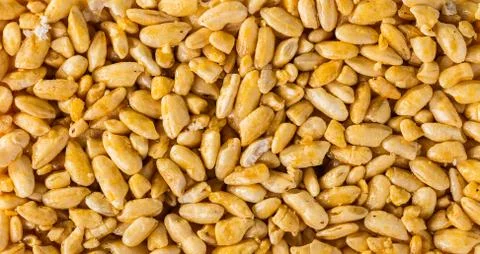 Nuts in caramel close-up Stock Photos