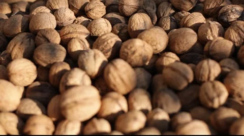 Nuts change focus 库存影片 890661