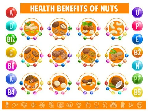Nuts chart table content of vitamins and minerals Stock Illustration