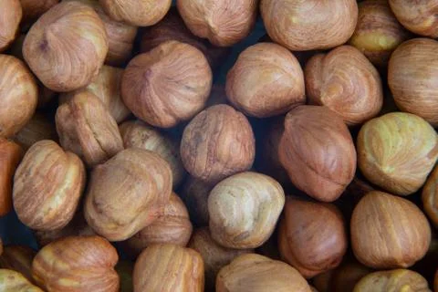 Nuts close up. Hazelnut kernels close-up lies in the sun Stock Photos