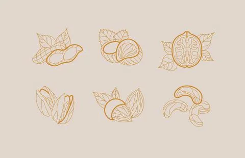Nuts collection art deco beige Stock Illustration