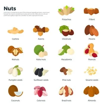Nuts collection isolated on white Stock Illustration