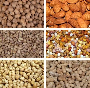 Nuts collection 스톡 사진