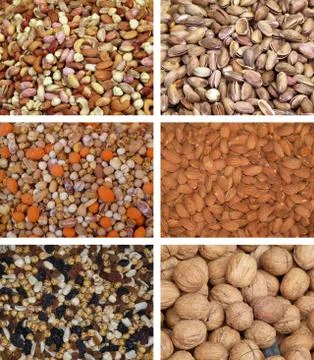 Nuts collection 写真素材