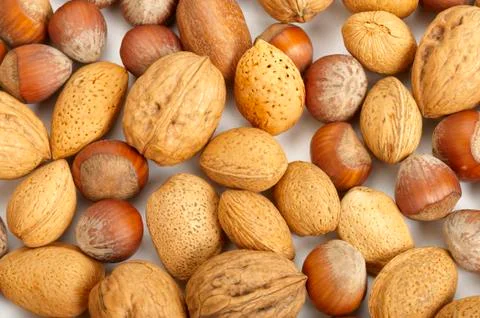 Nuts collection Stock Photos