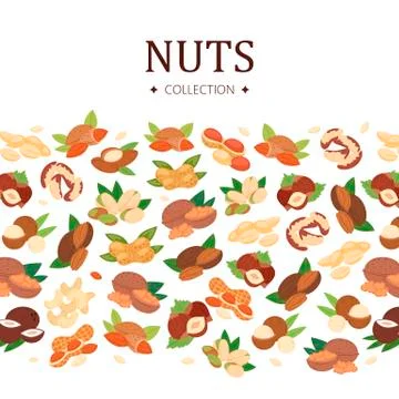 Nuts collection poster, flat cartoon banner vector illustration. Peanut Stock Illustration