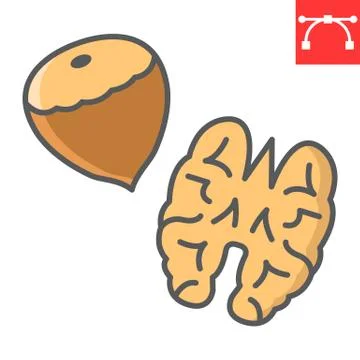 Nuts color line icon, hazelnut and keto diet, walnut sign vector graphics Stock Illustration