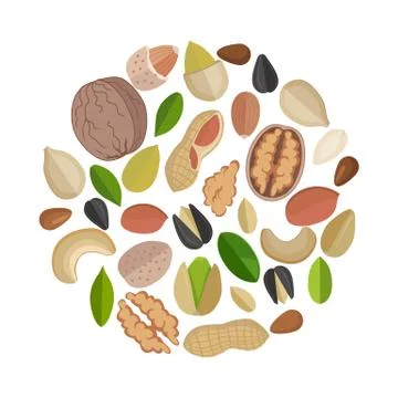 Nuts Composed in Circle Shape Stock Illustration