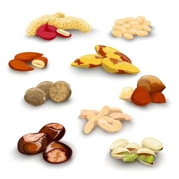 Nuts Decorative Set Stock Illustration