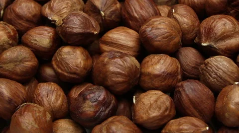 Nuts. Dolly shot. Stock Footage 55709252