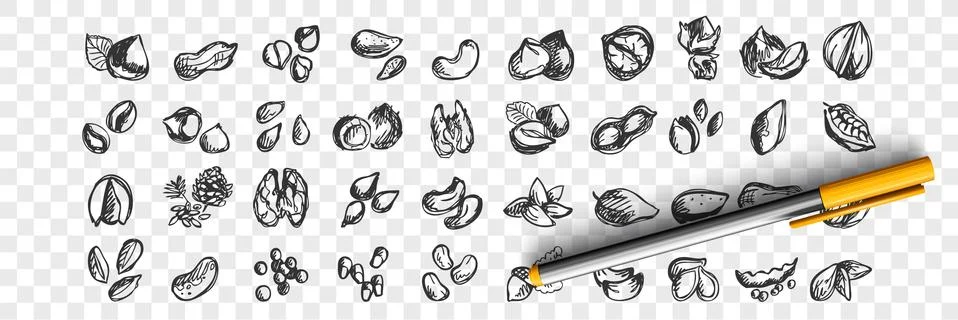 Nuts doodle set. Illustrazione stock