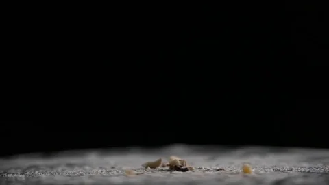 Nuts fall on the spinning surface black background Stock Footage 69919767