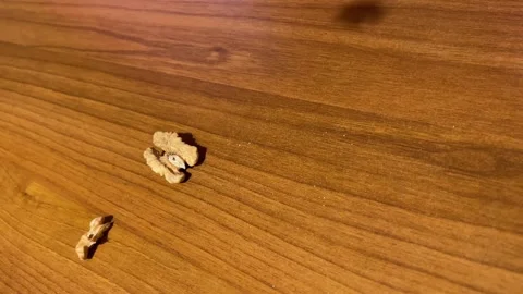 Nuts fall on the table Stock-Footage 220740440