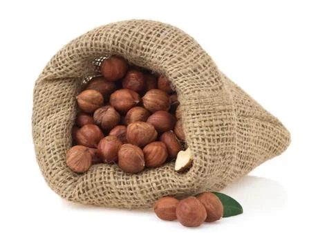 Nuts filbert isolated on white Stock Photos