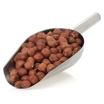 Nuts filbert isolated on white Stock Photos