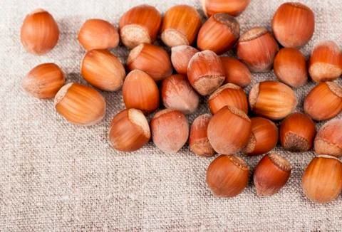 Nuts filberts Foto stock