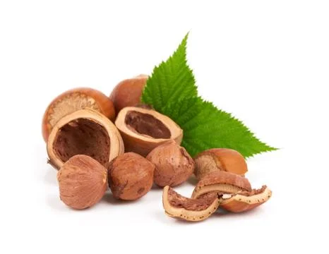 Nuts filberts Stock Photos