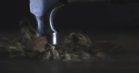 Nuts filmed in slow motion with a dark mood on a wooden background. Stock Footage 172158692