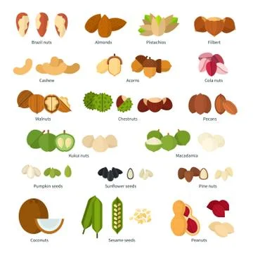 Nuts flat collection Stock Illustration