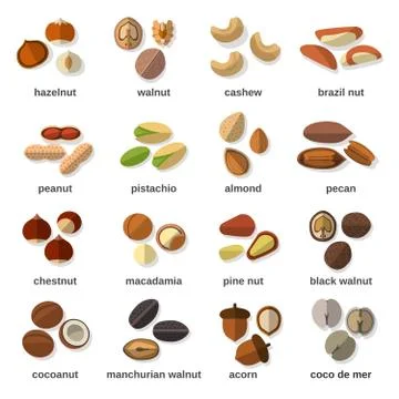 Nuts Flat Icons Set Stock Illustration