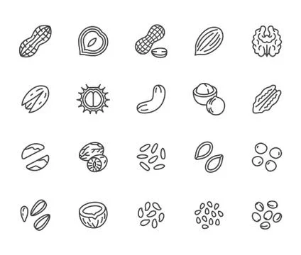 Nuts flat line icons set. Peanut, almond, chestnut, macadamia, cashew, pistachio Stock Illustration