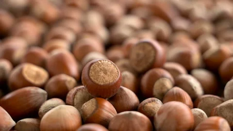 Nuts focus on close-up. turkish hazelnuts cinematic sequence. Stock Footage 132753448