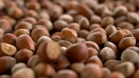 Nuts focus on close-up. turkish hazelnuts cinematic sequence. Video stock 132753913