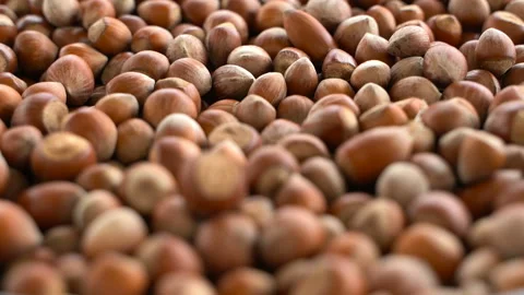 Nuts focus on wide angle. turkish hazelnuts cinematic sequence.Dried nuts. Stock Footage 132753850