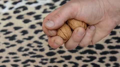 Nuts Stock Footage 7755094