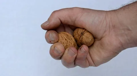 Nuts Stock Footage 7755101