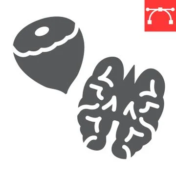 Nuts glyph icon, hazelnut and keto diet, walnut sign vector graphics, editable Stock Illustration