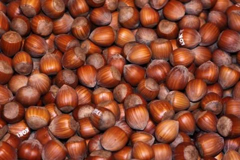 Nuts, hazelnuts as background Stock Photos