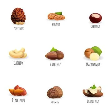 Nuts icon set, cartoon style Stock Illustration