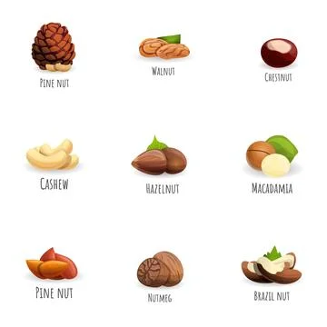 Nuts icon set, cartoon style Stock Illustration