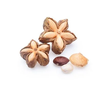 Nuts Incas on white background Foto stock
