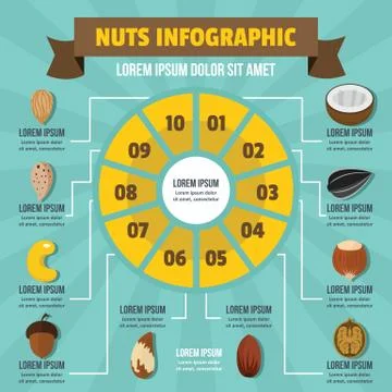 Nuts infographic, flat style Stock Illustration