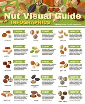 Nuts Infographics Set Stockillustratie