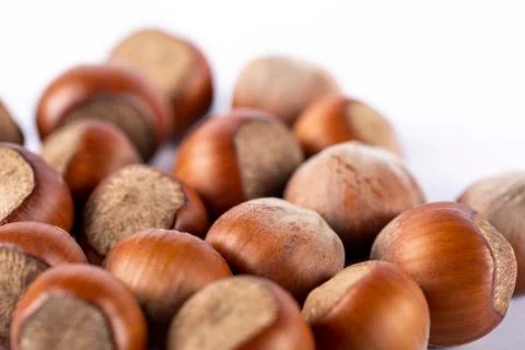 Nuts isolated on white background Stock Photos