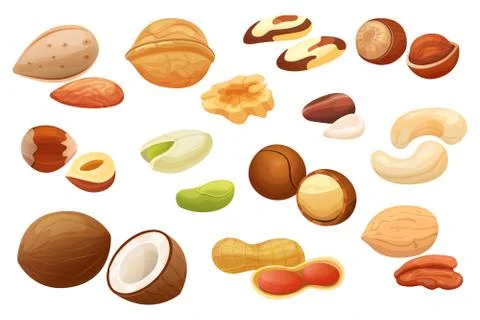 Nuts isolated on white background, set of different hazelnut, almond, peanut and Stock Illustration