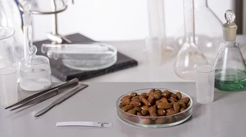 Nuts on the laboratory table with a name plate for vitamin E. Essential vitam Stock Photos