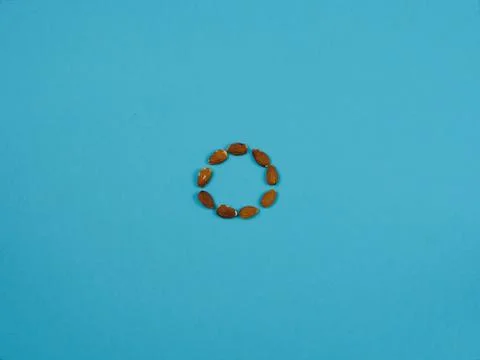 Nuts lie around on a blue background Stock Photos