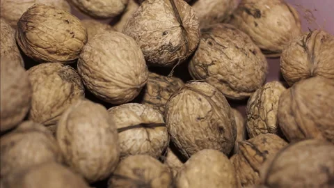 Nuts in macro close up with a smooth camera move Stock Footage 150787054