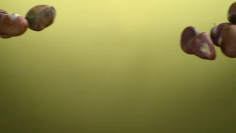  Nuts meeting and falling down Stock-Footage 81804043