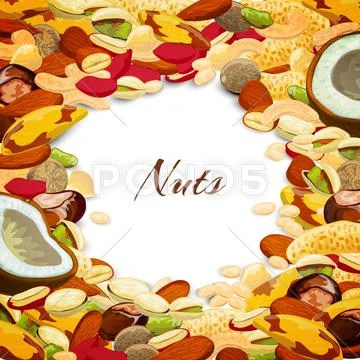 Nuts Mix Background Stock Illustration