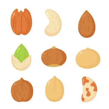 Nuts mix set collection. Vector flat cartoon illustration icon design. Isolated Stock Illustration
