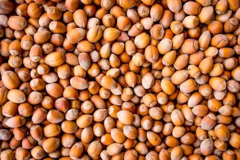 Nuts. nuts background pattern. Texture Stock Photos