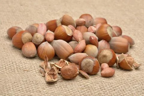 Nuts on old canvas Stock Photos