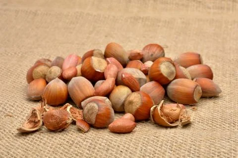 Nuts on old canvas Stock Photos