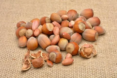 Nuts on old canvas Stock Photos