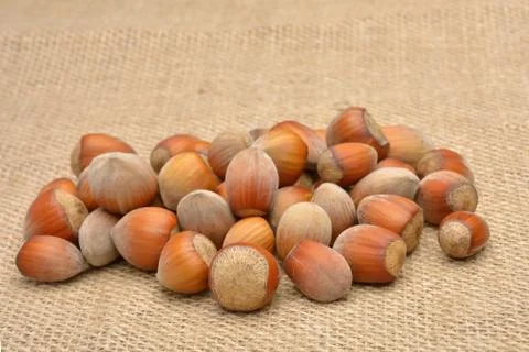 Nuts on old canvas Stock Photos